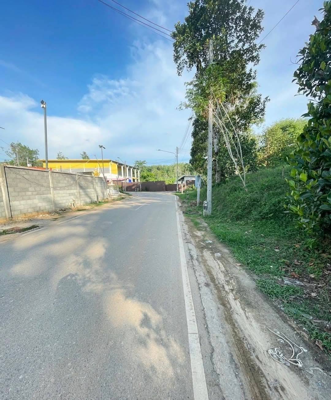 อาจเป็นรูปภาพของ ถนน, พื้นหญ้า และ ถนน